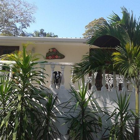 Hibiscus House Bed And Breakfast Contadora Island Exterior foto