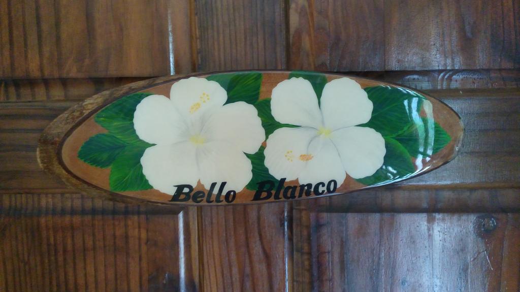 Hibiscus House Bed And Breakfast Contadora Island Exterior foto