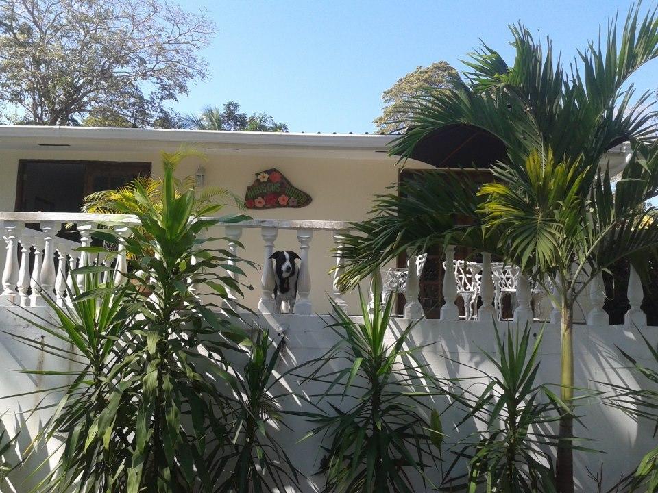 Hibiscus House Bed And Breakfast Contadora Island Exterior foto